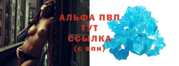 стафф Аркадак