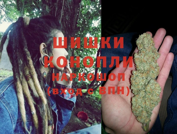 стафф Аркадак