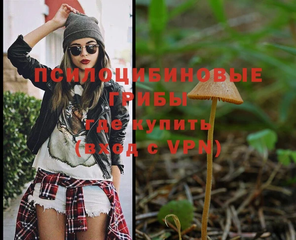 бошки Баксан